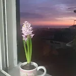 דירה Bellavista *
