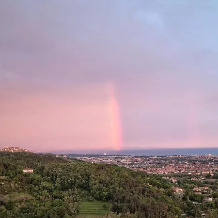 Bellavista *