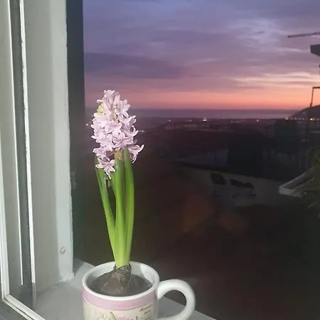 Apartman Bellavista *