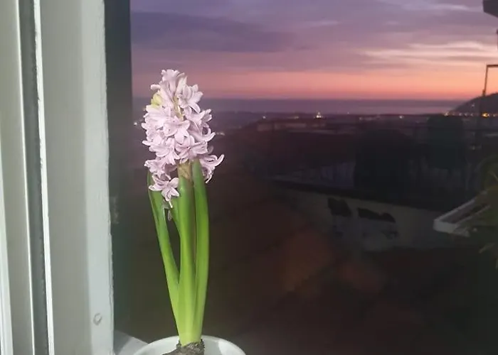 Appartement Bellavista *